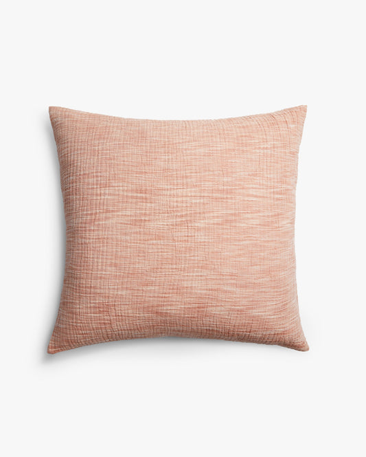 Marmorwolke Euro Schein