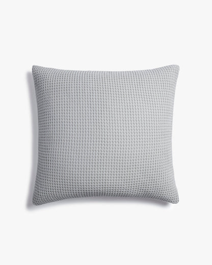 Bio -Waffel -Euro -Schein